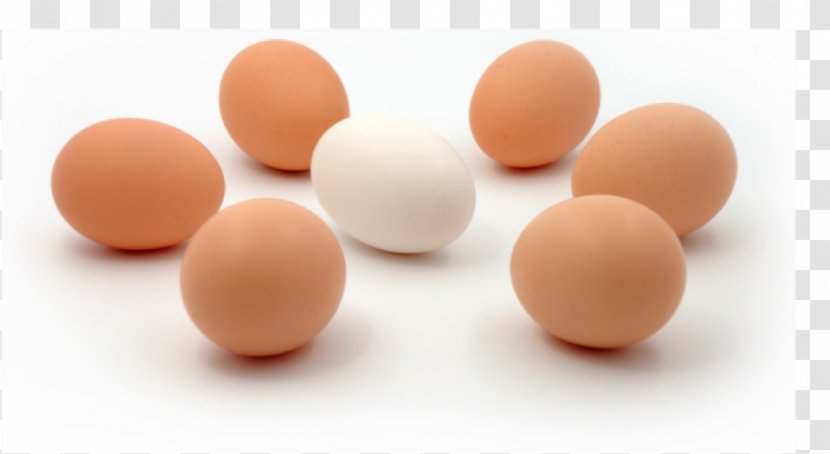 Egg White - Poultry Eggs Transparent PNG