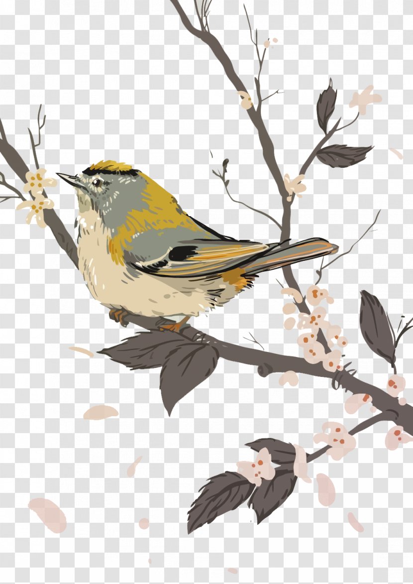 Bird-and-flower Painting Watercolor Illustration - Vector Flower And Bird Transparent PNG