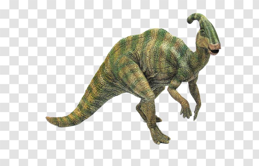 Parasaurolophus Late Cretaceous The Dinosaur Stegosaurus - Hadrosaurid Transparent PNG