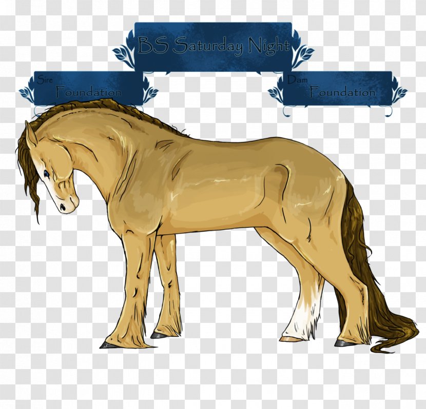 Foal Mustang Stallion Mare Colt - Horse Tack - Saturday Nights Transparent PNG