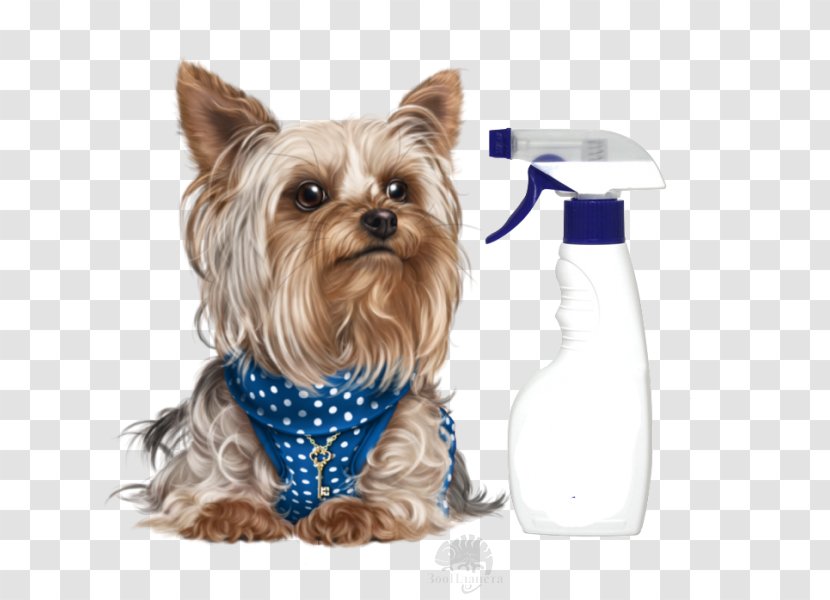 Dog Cartoon - Yorkipoo - Companion Rare Breed Transparent PNG