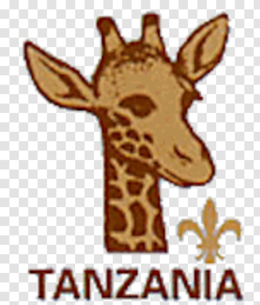 Tanzania Scouts Association Scouting The Scout Motto Boy Of America - Swaziland Transparent PNG