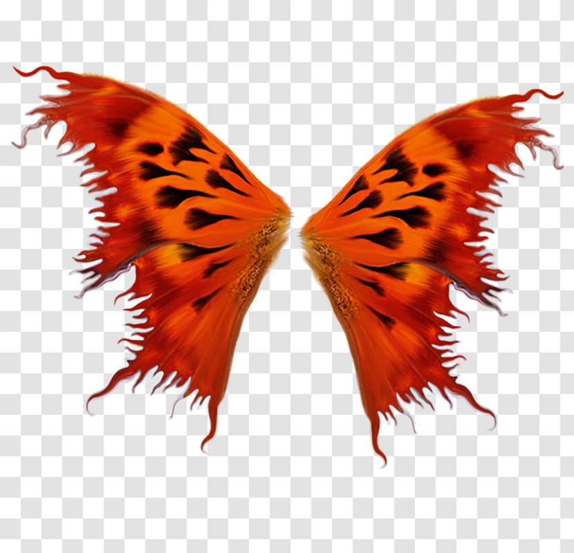 Butterfly Insect Wing Moth - Red Wings Transparent PNG