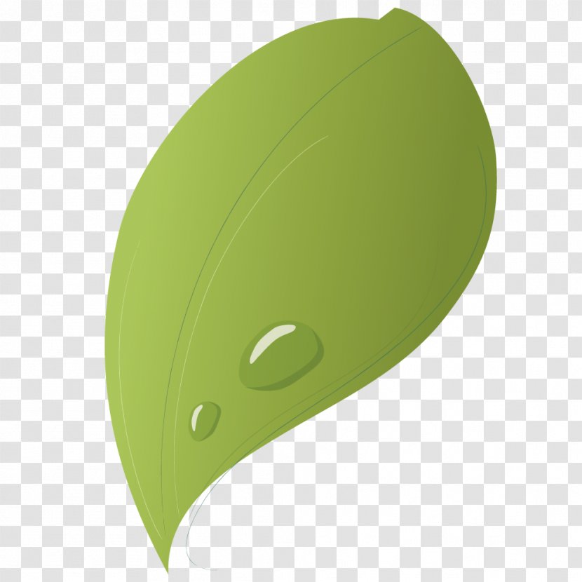 Green Drop Leaf - Water Droplets On The Leaves Transparent PNG