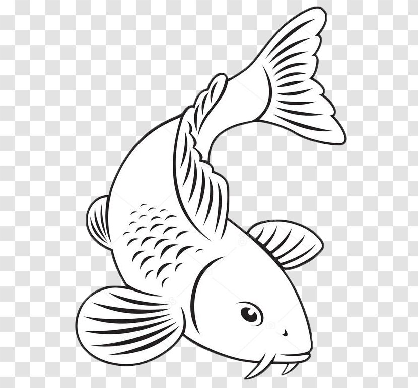 Koi Goldfish Carp - Tail - Fish Transparent PNG