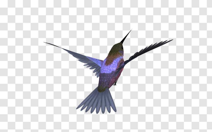 Bird Image Design Download - Realism - Parfait Transparent PNG