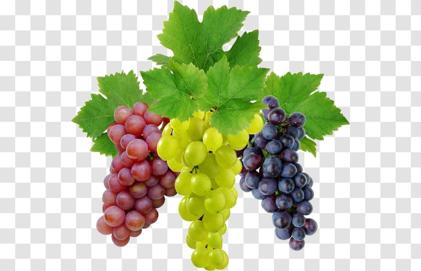 Wine Grape - Superfood - Image Download, Free Picture Transparent PNG