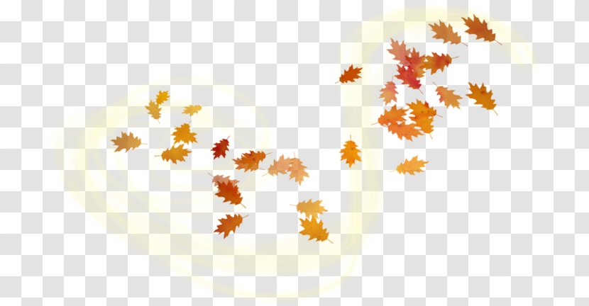 Leaf Clip Art - Autumn Transparent PNG