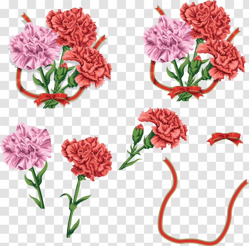 Carnation Cut Flowers Clip Art - Pink Family - Gazania Transparent PNG