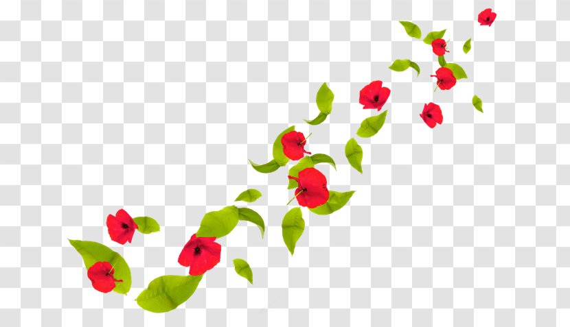 Petal Flower Poppy Clip Art - Plant Stem Transparent PNG