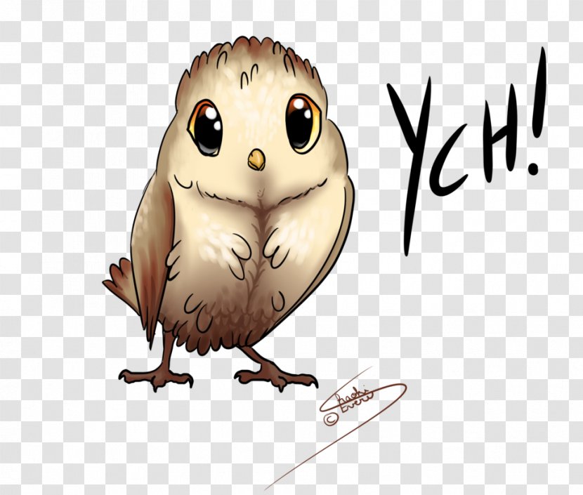 Owl Beak Bird Of Prey - Fauna Transparent PNG