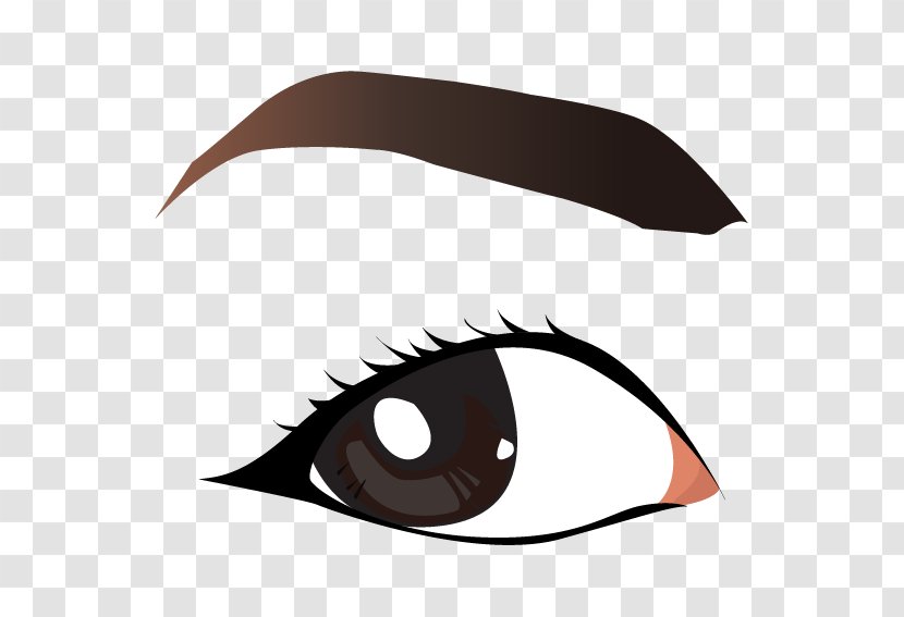 Eyebrow Clip Art - Face - Vector Eye Brows Transparent PNG