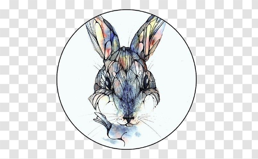 Art Watercolor Painting Avatar Wallpaper - Fauna - Rabbit Transparent PNG