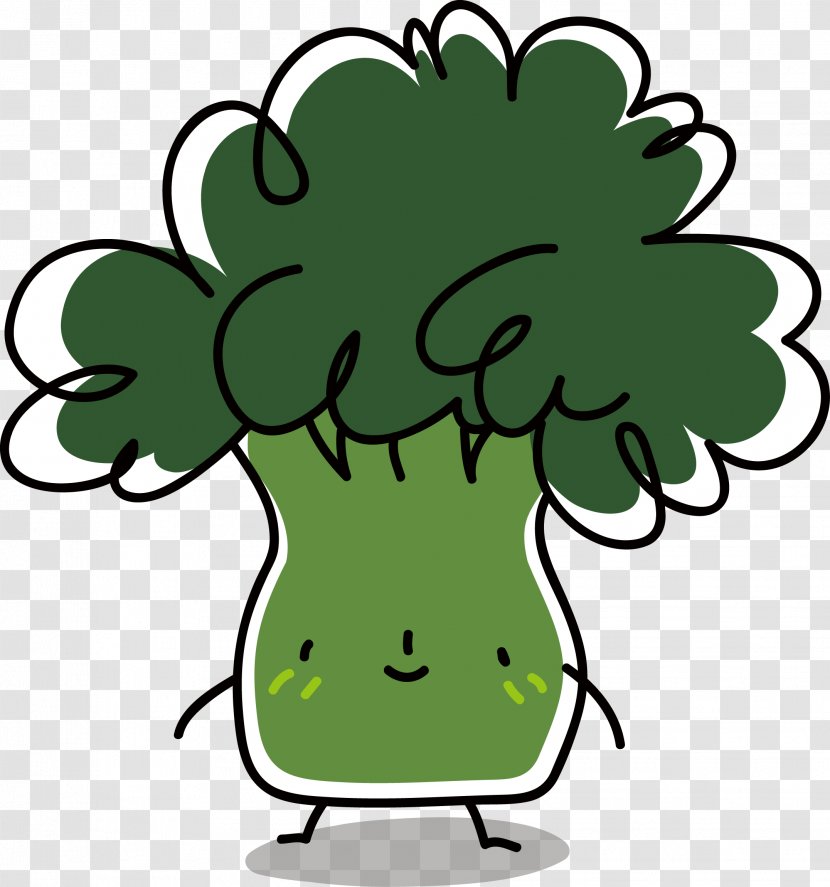 Cauliflower Broccoli Vegetable - Cartoon Transparent PNG