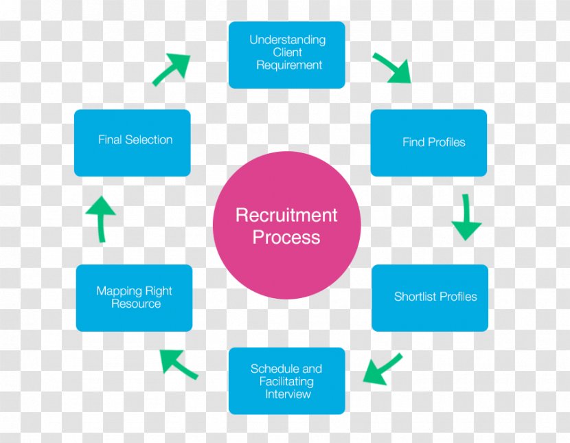 Recruitment Process Outsourcing Business Human Resource Transparent PNG