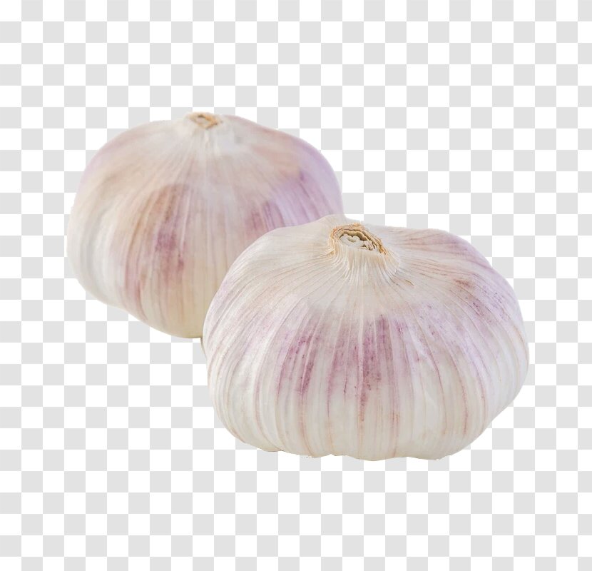 Garlic Shallot Ingredient Spice - Ingredients Transparent PNG