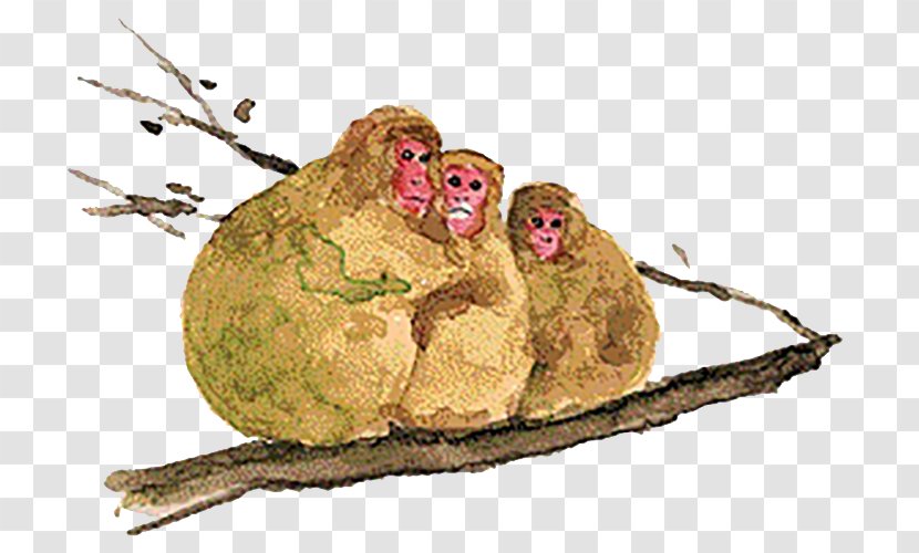 Monkey Tree Facial Expression - Designer Transparent PNG