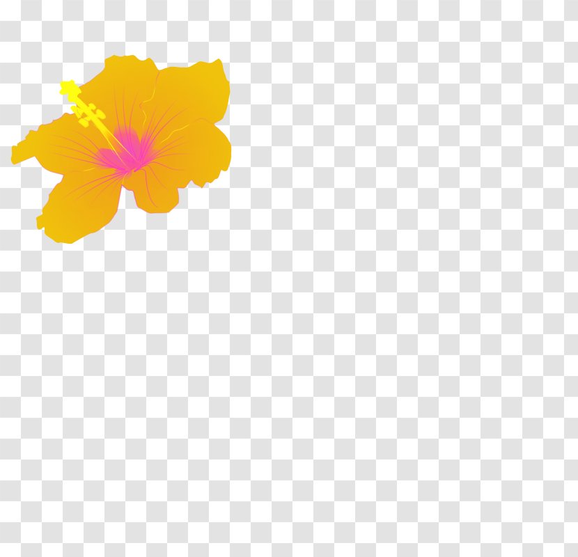 Petal Yellow Hibiscus Pattern - Picture Of Flower Transparent PNG