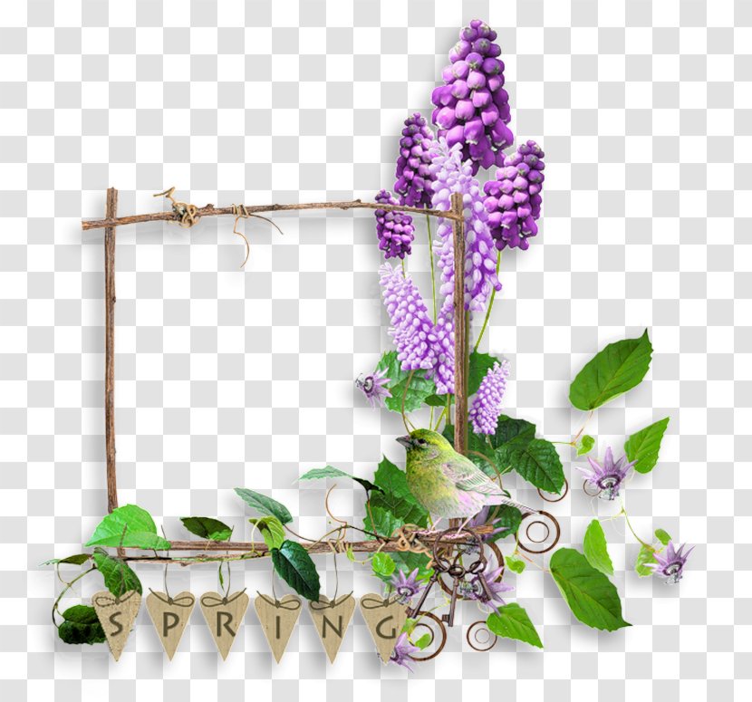 Flowering Plant Lumber Transparent PNG