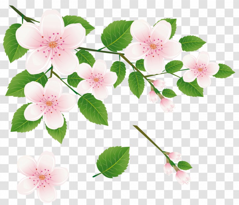 Branch Tree Clip Art - Pattern - Spring With Flowers Clipart Picture Transparent PNG