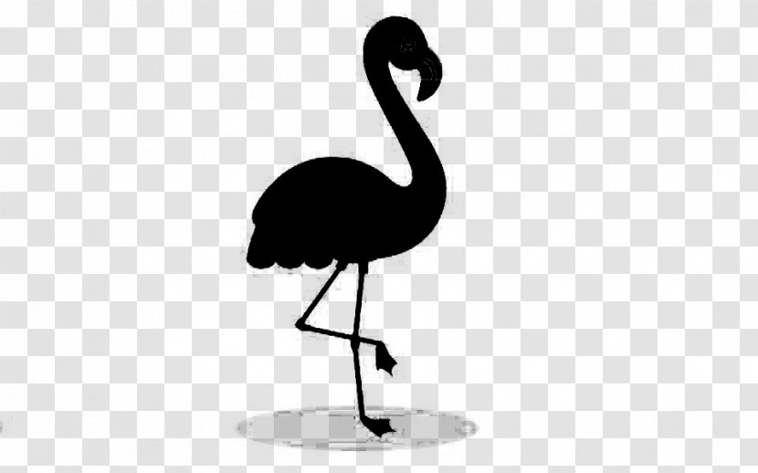 Common Ostrich Bird Crane Beak Product Design - Flamingo Transparent PNG