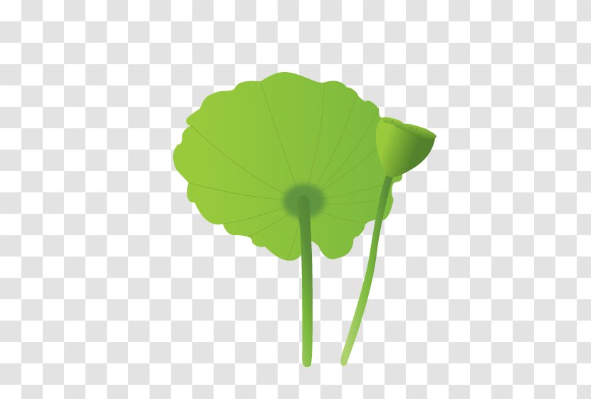 Petal Leaf Plant Stem - Lotus Transparent PNG