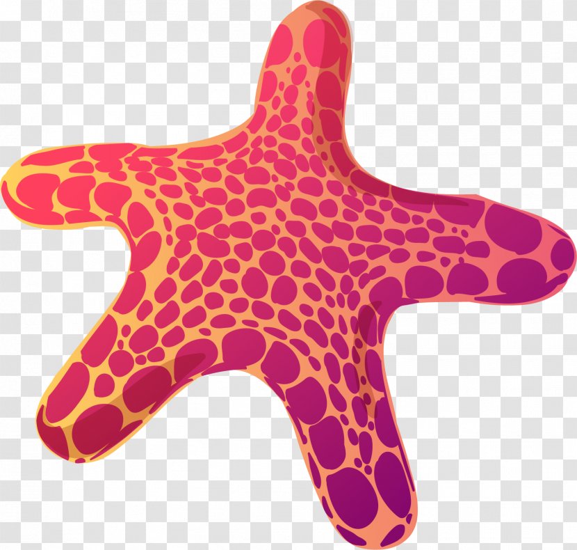 Starfish - Painting - Hand Painted Red Star Transparent PNG