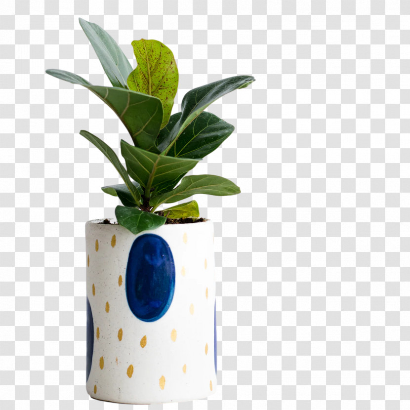 Plants Flowerpot Science Biology Transparent PNG