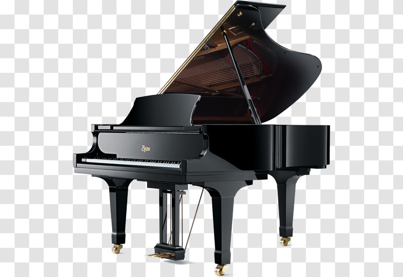 Blüthner Piano Steinway & Sons Musical Instruments - Tree Transparent PNG