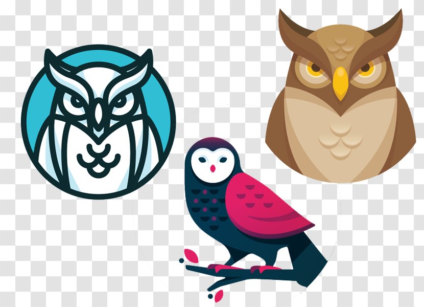 Logo Graphic Design Drawing Illustration - Poster - Owl Designs Transparent PNG