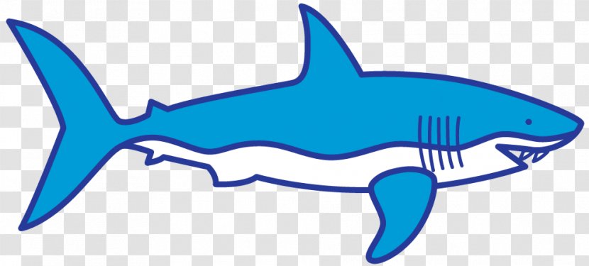 Clip Art Shark Finning Dorsal Fin - Logo - Drawing Transparent PNG