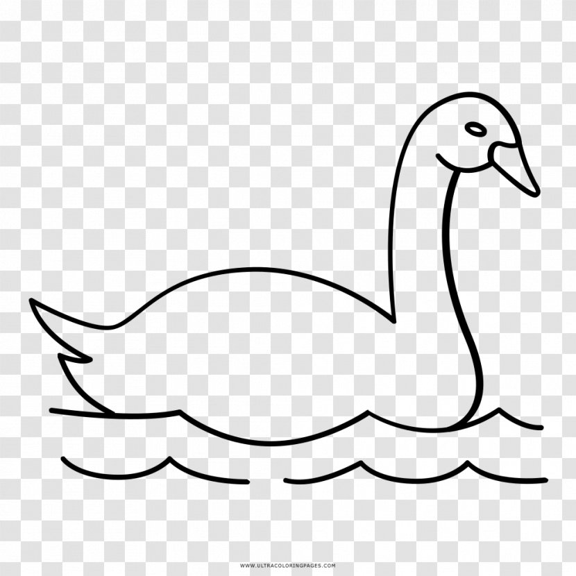 Duck Cygnini Goose Drawing Coloring Book - Text Transparent PNG