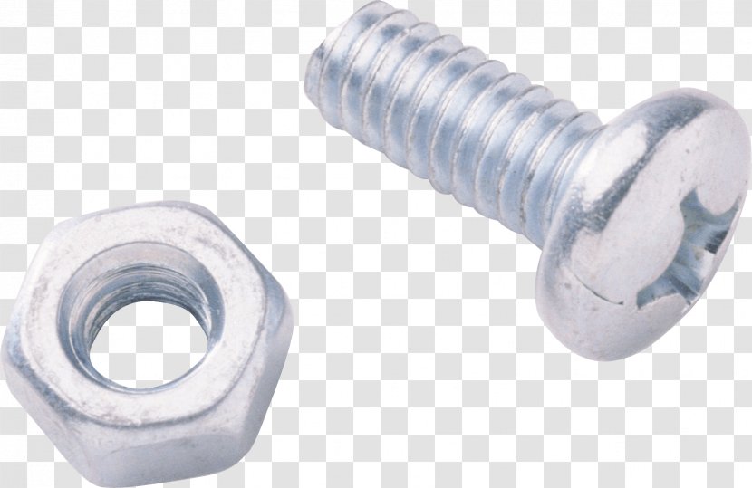 Bolt Nut Screw Washer Fastener - Acorn - Image Transparent PNG