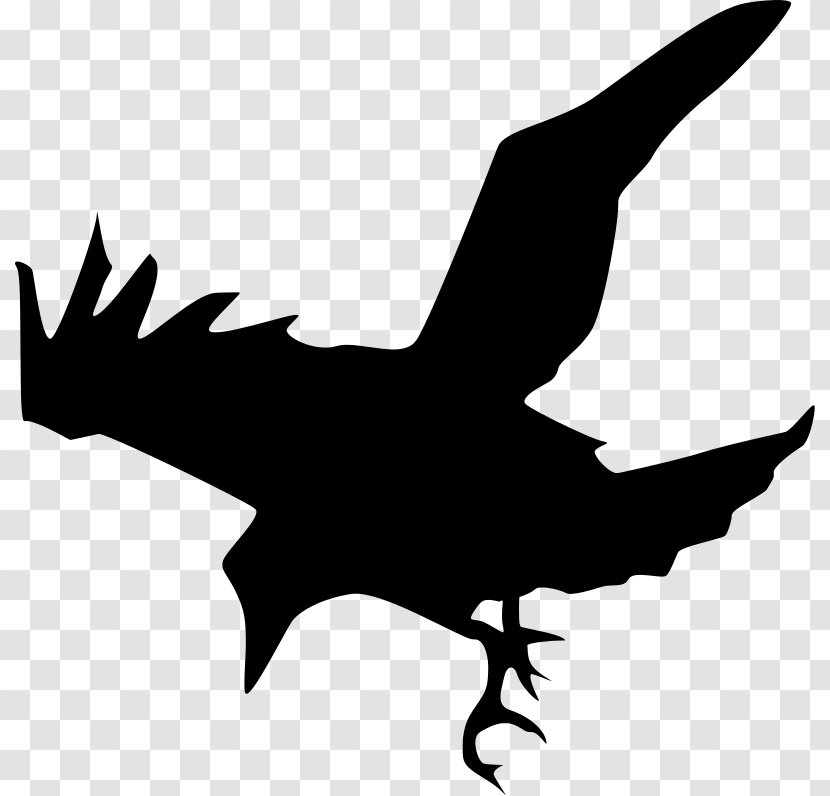 Common Raven Bird Silhouette Clip Art - Ducks Geese And Swans Transparent PNG