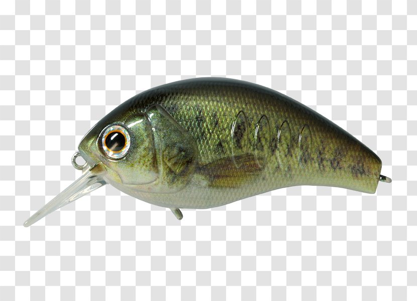 Spoon Lure Oily Fish Korrigan Rod - Bait - Fishing Transparent PNG