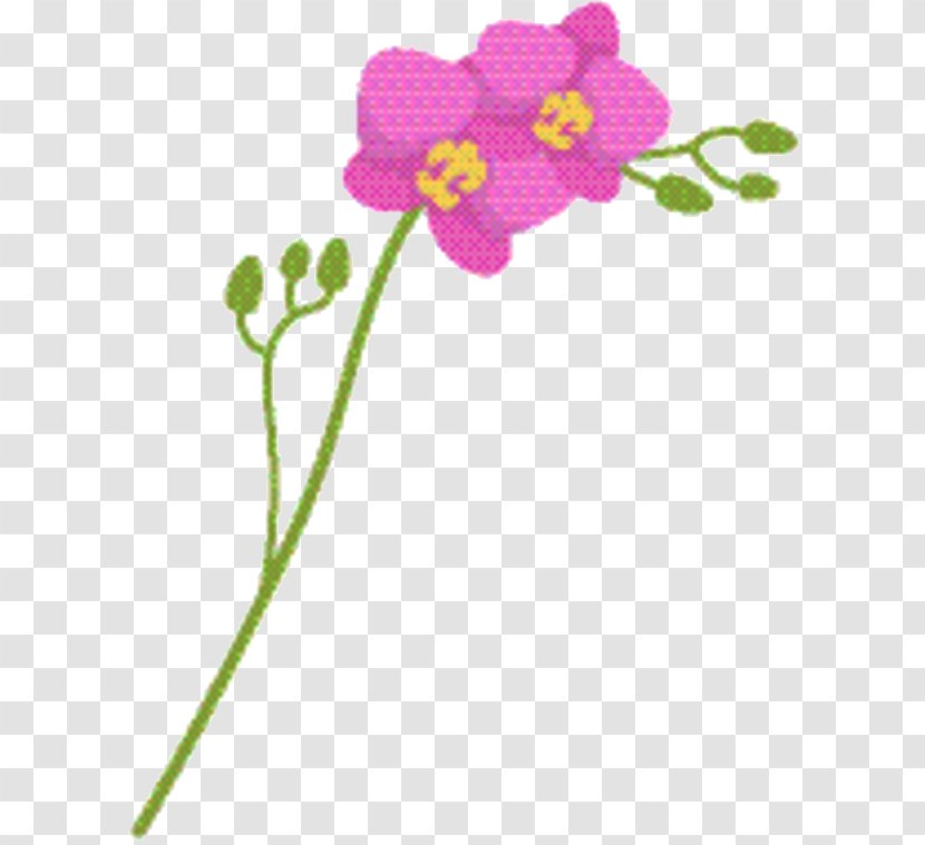 Pink Flower Cartoon - Orchids - Wildflower Wallflower Transparent PNG