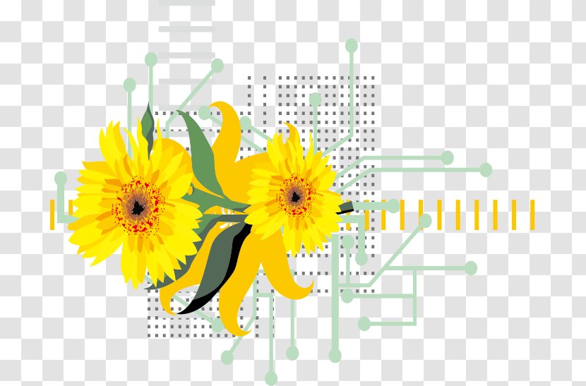 Common Sunflower - Petal - Fresh Lemon Vector Image Transparent PNG