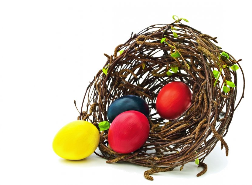 Edible Bird's Nest Egg - Color Motion Picture Film Transparent PNG