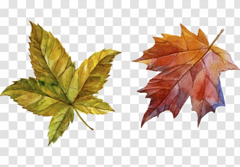 Download Autumn - Tree - Hand-painted Leaves Transparent PNG