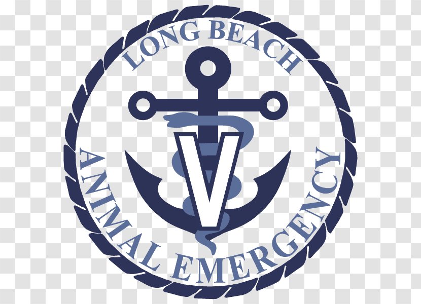 Long Beach Animal Emergency Light Hospital Veterinarian Photograph - Area - ısland Transparent PNG