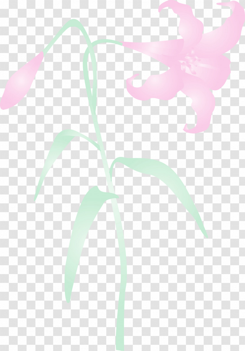 Pink Leaf Plant Flower Tree Transparent PNG
