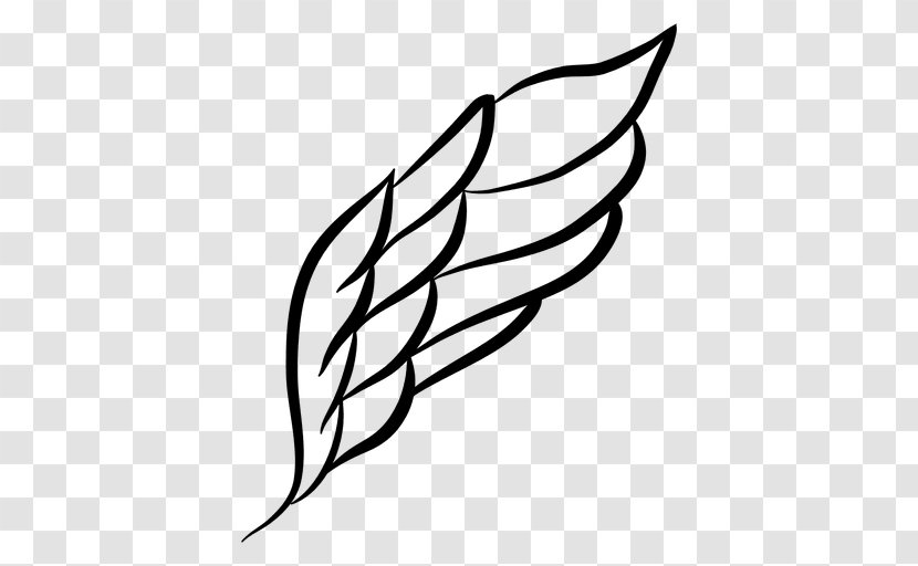 Drawing Clip Art - Branch - Wings Clipart Transparent PNG