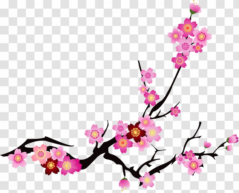 Your Moment Massage Cherry Blossom Cerasus - Plant - Vector Painted Pink Blossoms Transparent PNG