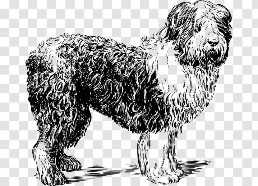 Old English Sheepdog Clip Art Vector Graphics German Shepherd Sheltie - Bearded Collie - Canidae Transparent PNG