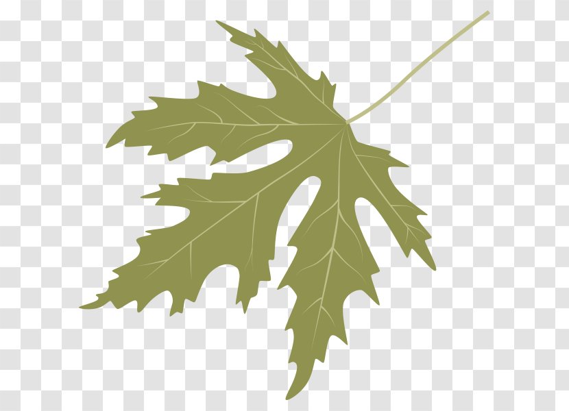 Dinosaur Planet Tree Sweetgum Maple Leaf - Silver Transparent PNG