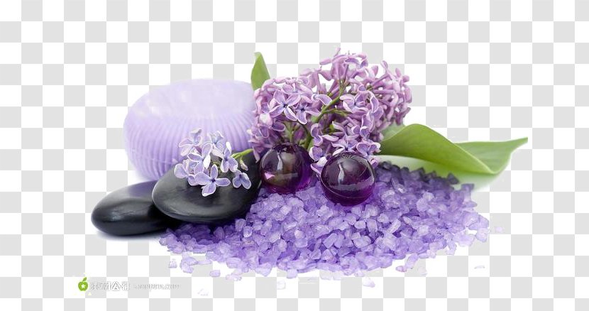 Lotion Cream Skin Moisturizer Cosmetics - Purple - Plant Transparent PNG