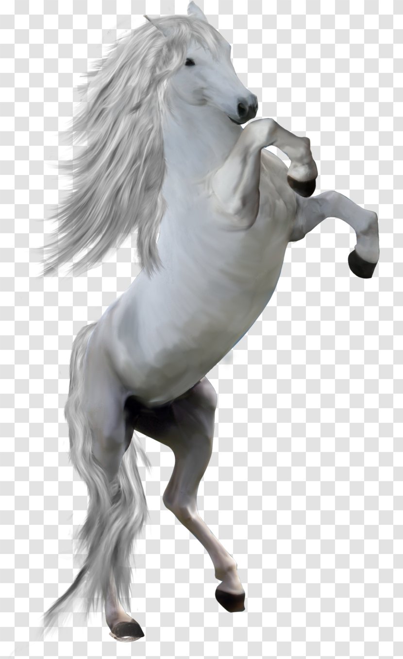 Mane Mustang Pony Stallion - Animal Figure Transparent PNG