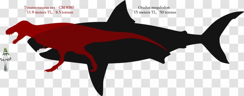 Great White Shark Mosasaurus Tyrannosaurus Megalodon - Wing Transparent PNG