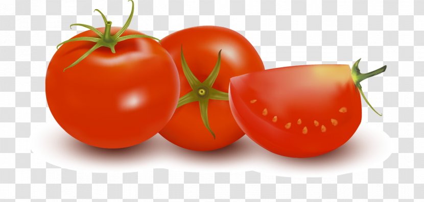 Plum Tomato Vegetarian Cuisine - Vegetable Transparent PNG