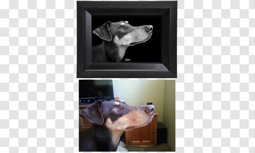 Dog Breed Snout Transparent PNG